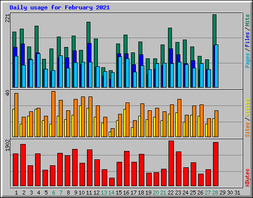 Daily usage for February 2021