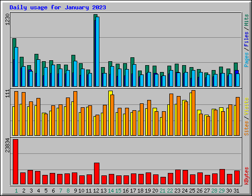 Daily usage for January 2023