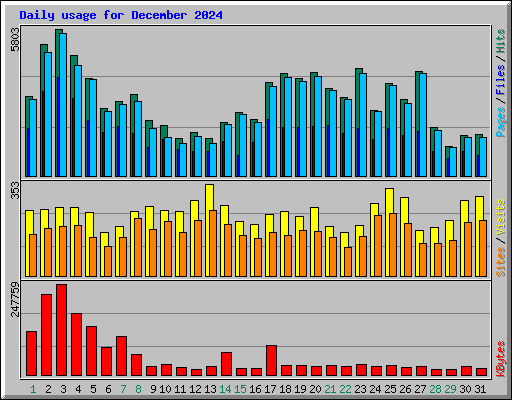 Daily usage for December 2024