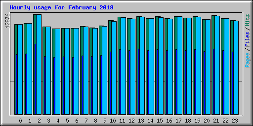 Hourly usage for February 2019
