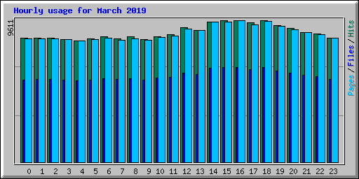 Hourly usage for March 2019