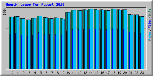 Hourly usage for August 2019
