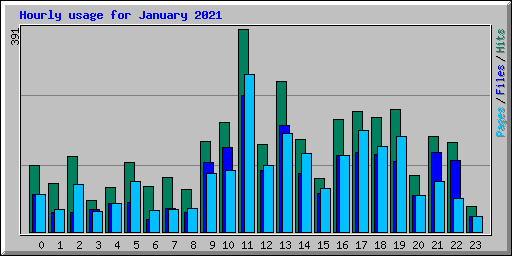 Hourly usage for January 2021