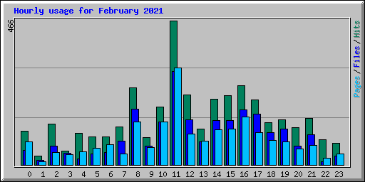 Hourly usage for February 2021