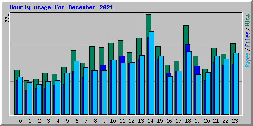 Hourly usage for December 2021