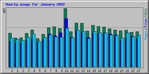 Hourly usage for January 2022