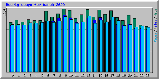 Hourly usage for March 2022