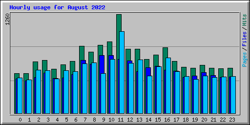 Hourly usage for August 2022
