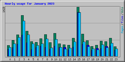 Hourly usage for January 2023
