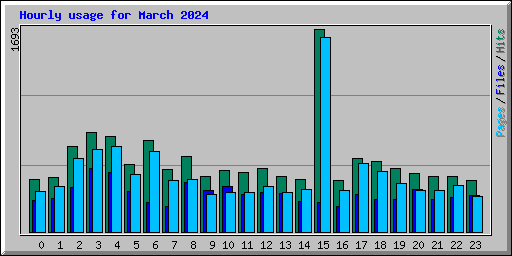 Hourly usage for March 2024