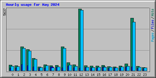 Hourly usage for May 2024