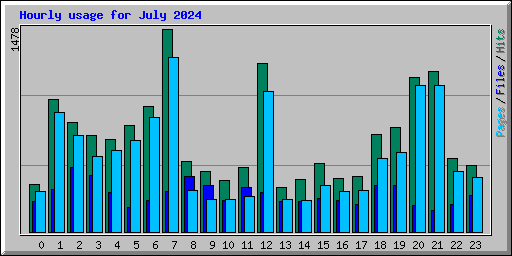 Hourly usage for July 2024