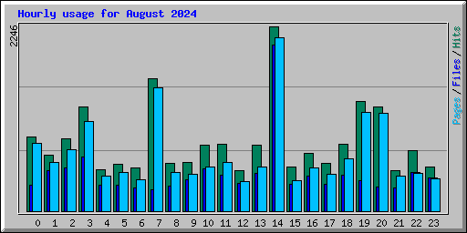 Hourly usage for August 2024