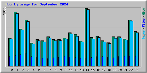 Hourly usage for September 2024