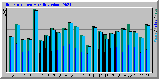 Hourly usage for November 2024