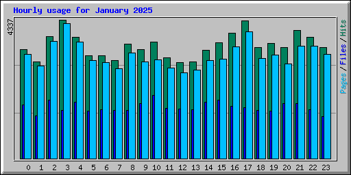 Hourly usage for January 2025