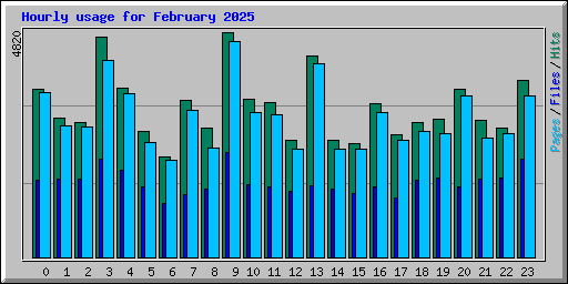 Hourly usage for February 2025