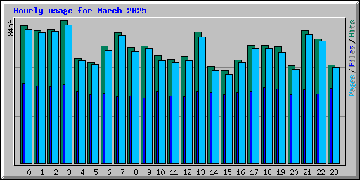 Hourly usage for March 2025