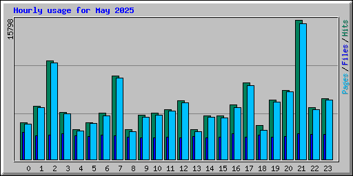 Hourly usage for May 2025