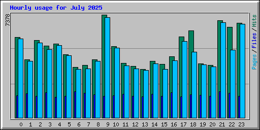 Hourly usage for July 2025