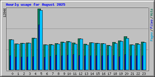 Hourly usage for August 2025