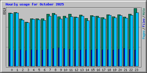 Hourly usage for October 2025