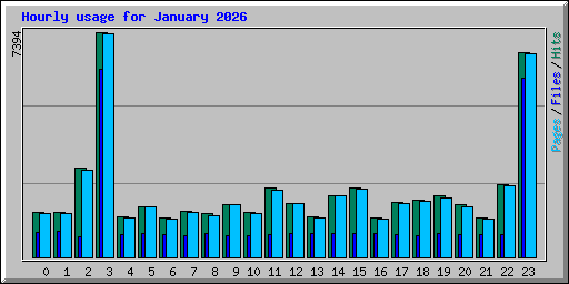 Hourly usage for January 2026