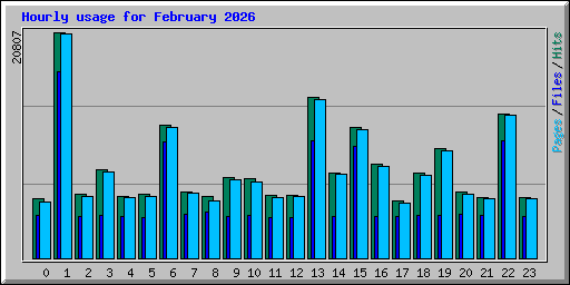 Hourly usage for February 2026