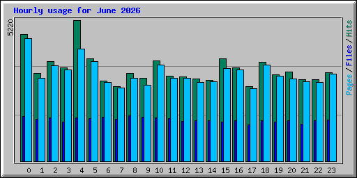 Hourly usage for June 2026