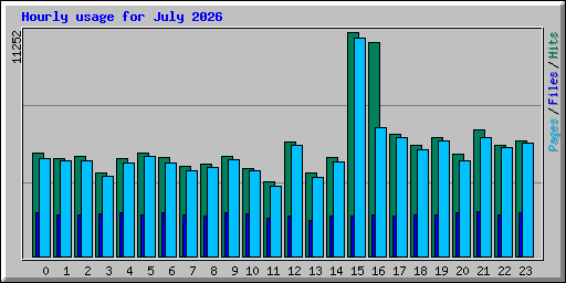 Hourly usage for July 2026
